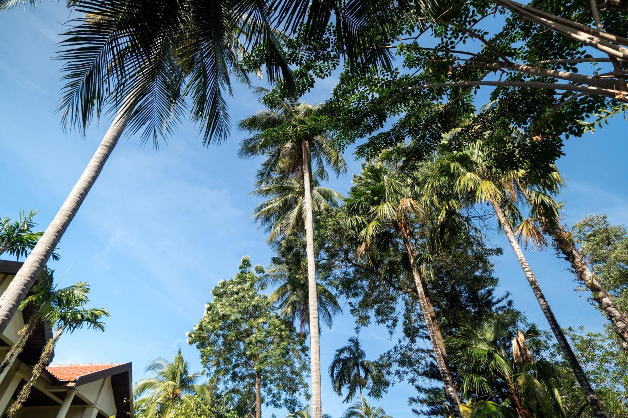 Phuket Leelavadee Hua Ting Resort Patong Экстерьер фото
